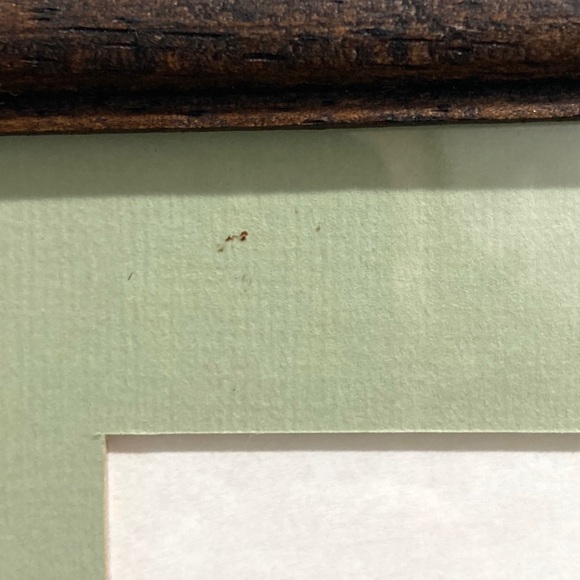 LAST CHANCE 😍 Set 2, Hand-painted Costa Rican Feather - Picture 13 of 13